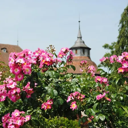 Remise Apartment Langenburg
