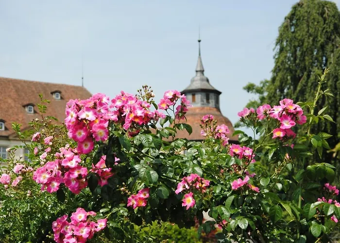 Remise Appartement Langenburg