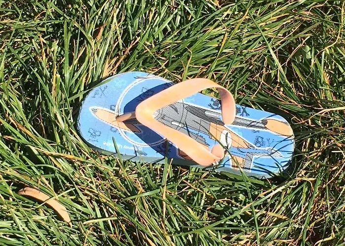 Appartement Remise *